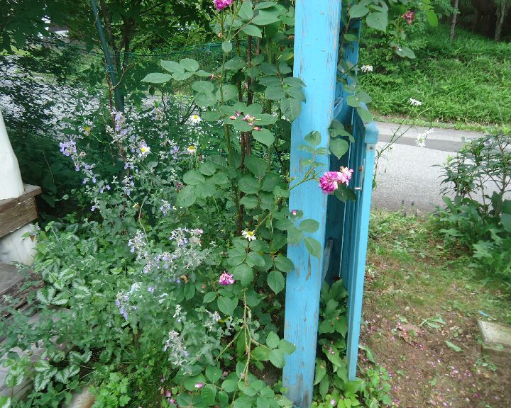 b0248920_00434668.jpg