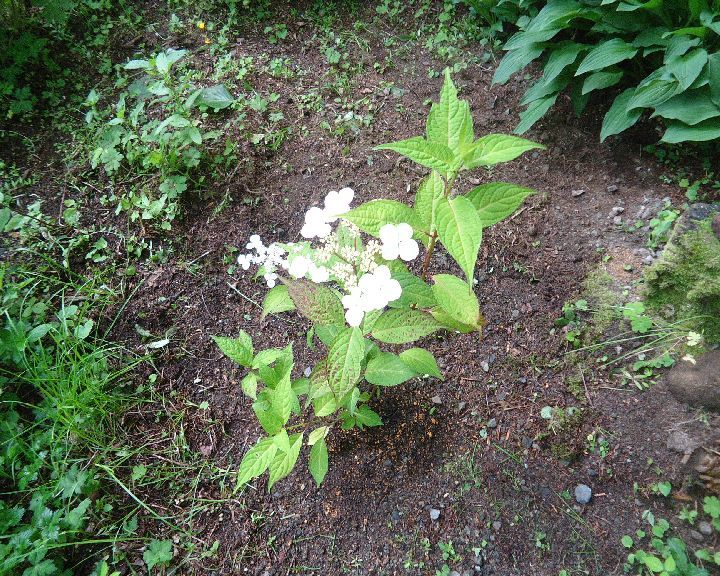 b0248920_23274338.jpg