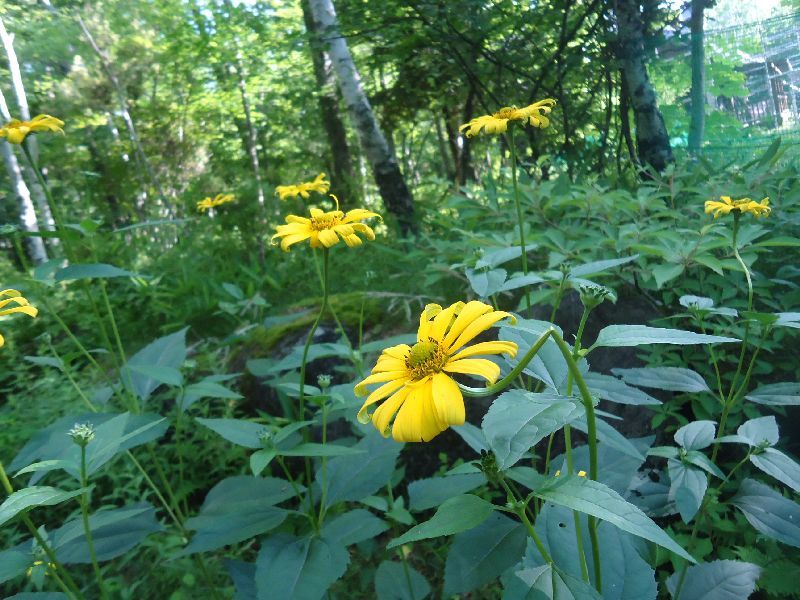 b0248920_23321614.jpg