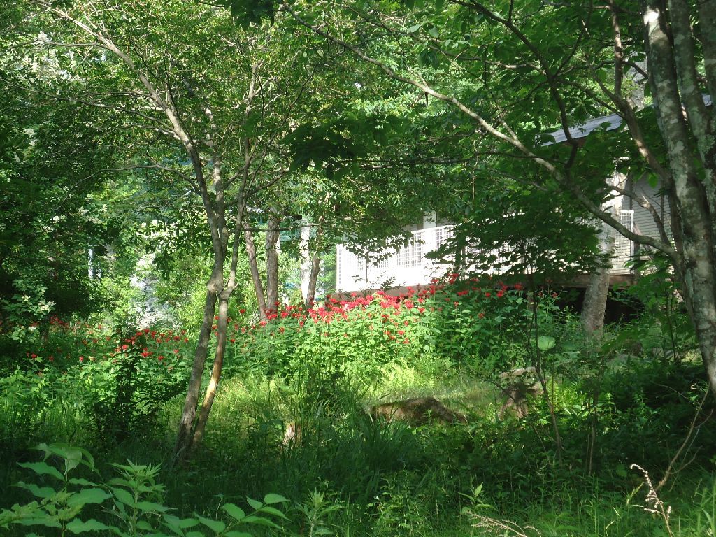 b0248920_23565584.jpg