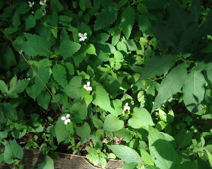 b0248920_23593576.jpg
