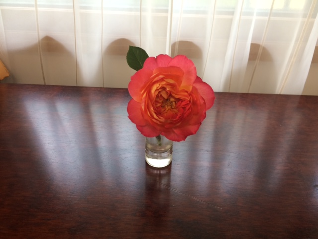 f0011022_18334112.jpg
