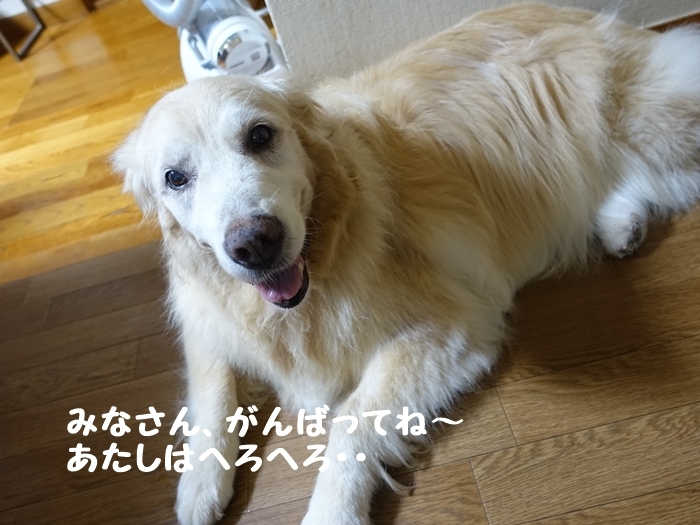 b0119525_11273477.jpg