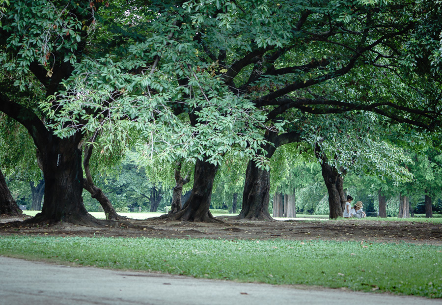 f0237034_20420770.jpg