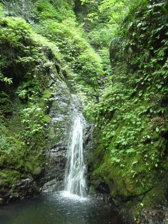 b0298935_14302997.jpg