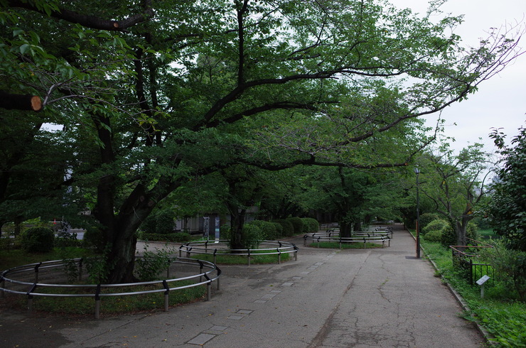 a0287336_2111367.jpg