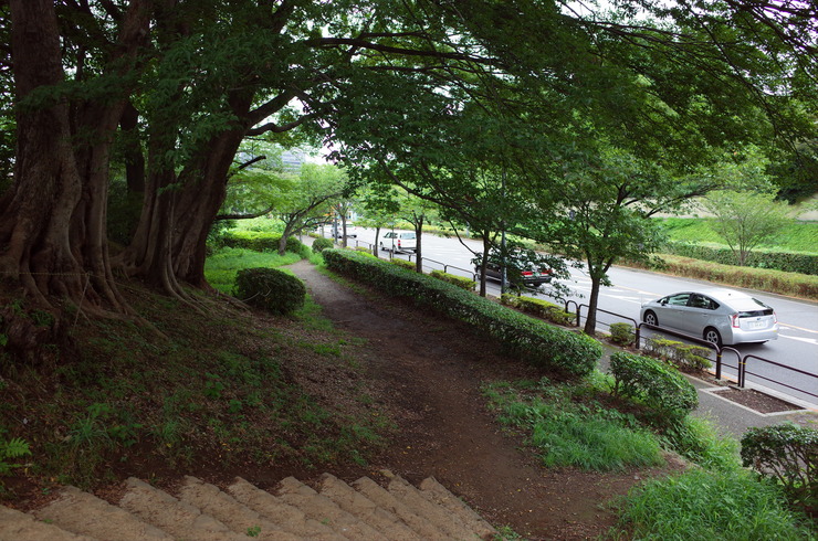 a0287336_21222086.jpg