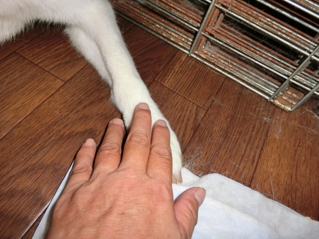 e0123136_19091581.jpg