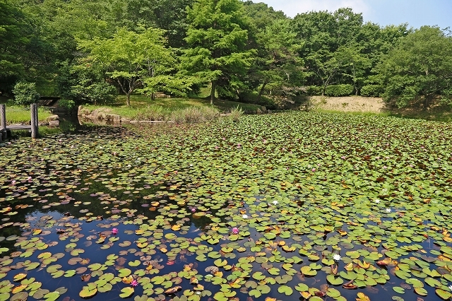 a0242438_21235685.jpg