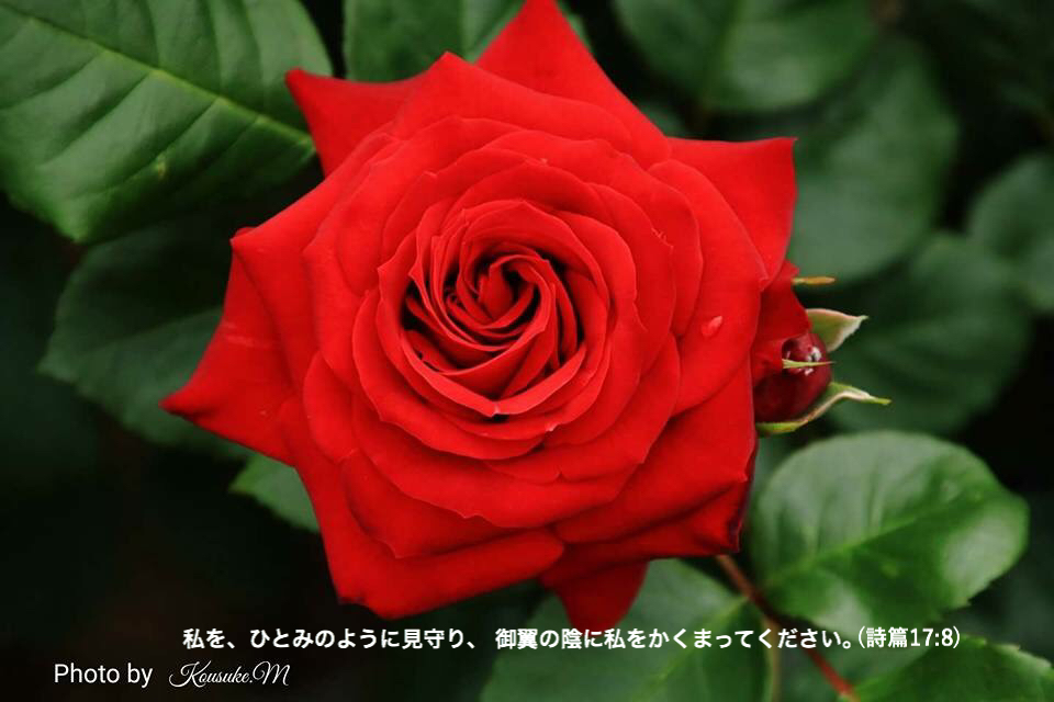 d0100239_05283185.jpg