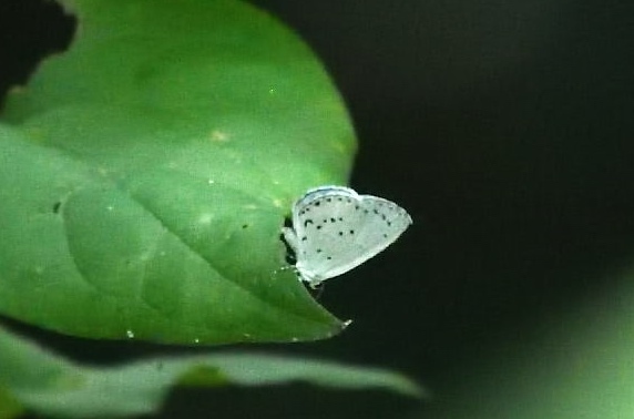 d0285540_20514126.jpg