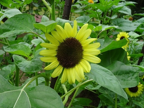b0299042_07173555.jpg