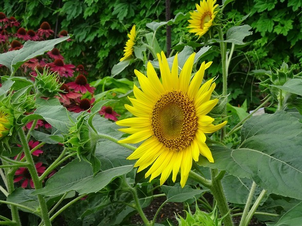 b0299042_07175120.jpg