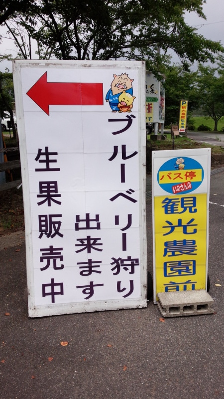 f0378942_12012404.jpg