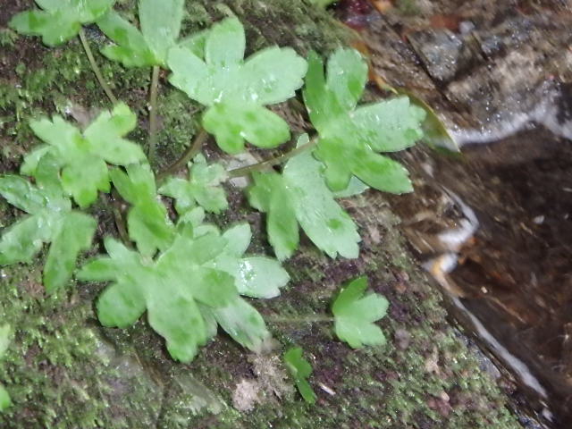 f0334143_17521638.jpg