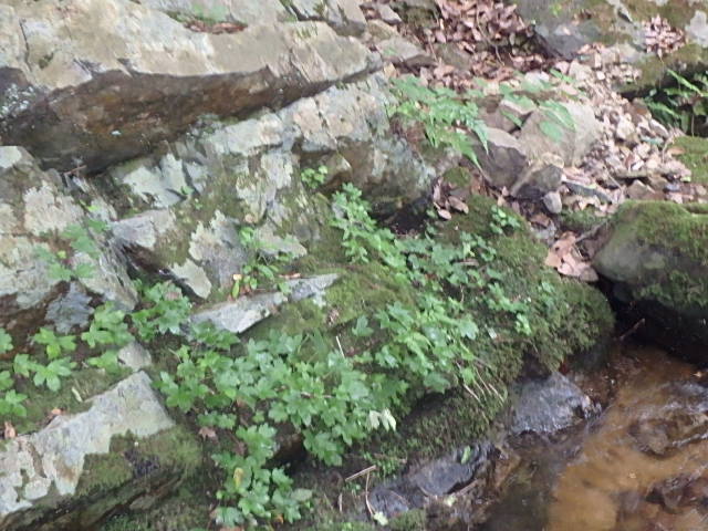 f0334143_17522887.jpg
