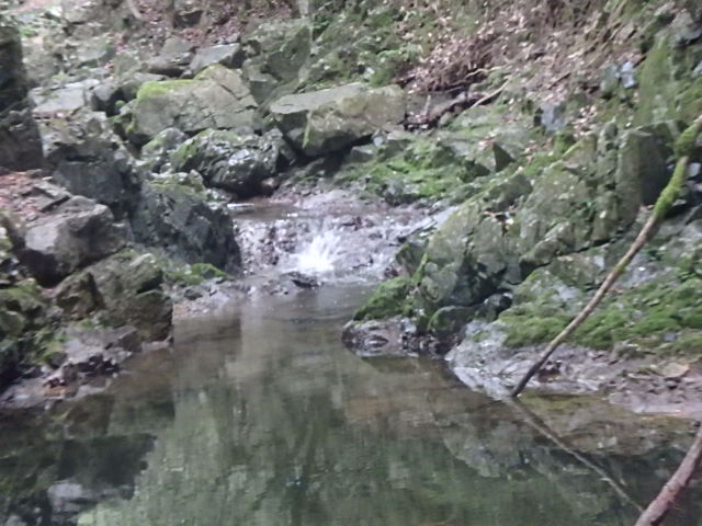 f0334143_17553290.jpg