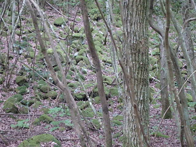 f0334143_1756023.jpg