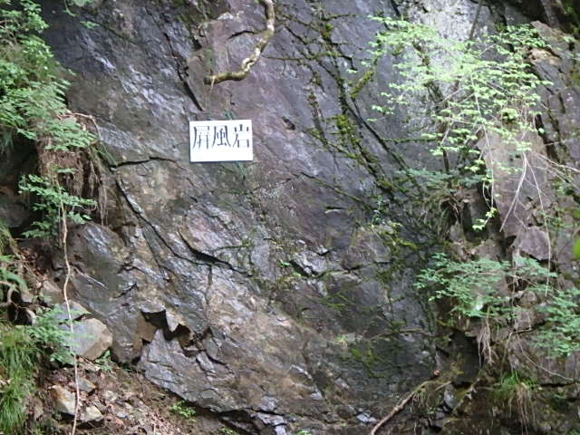 f0334143_17564817.jpg
