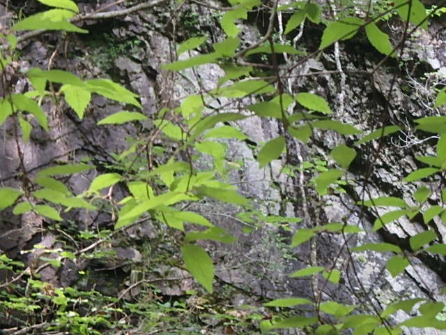 f0334143_17565835.jpg