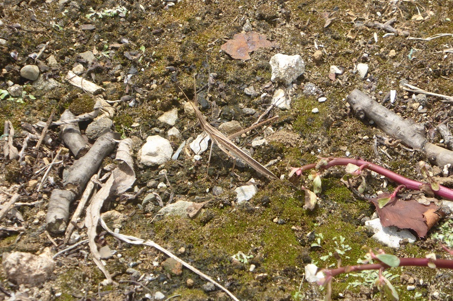 d0288144_10160986.jpg