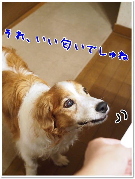 d0013149_13050250.jpg