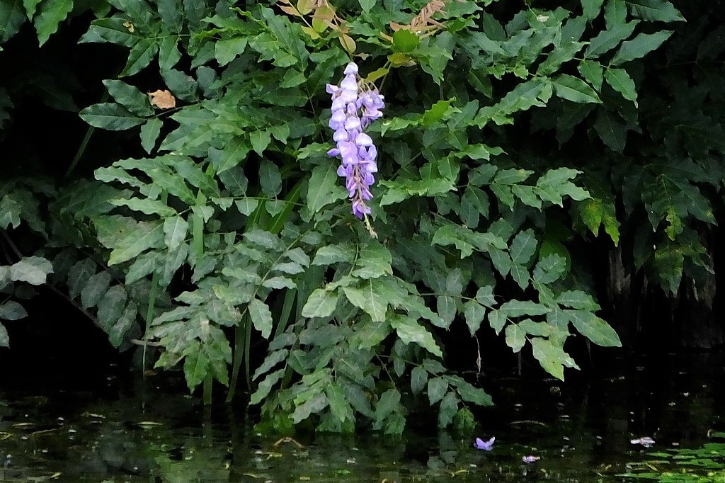 b0236251_11123145.jpg