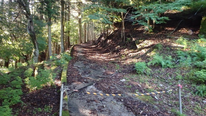 c0097754_16251448.jpg