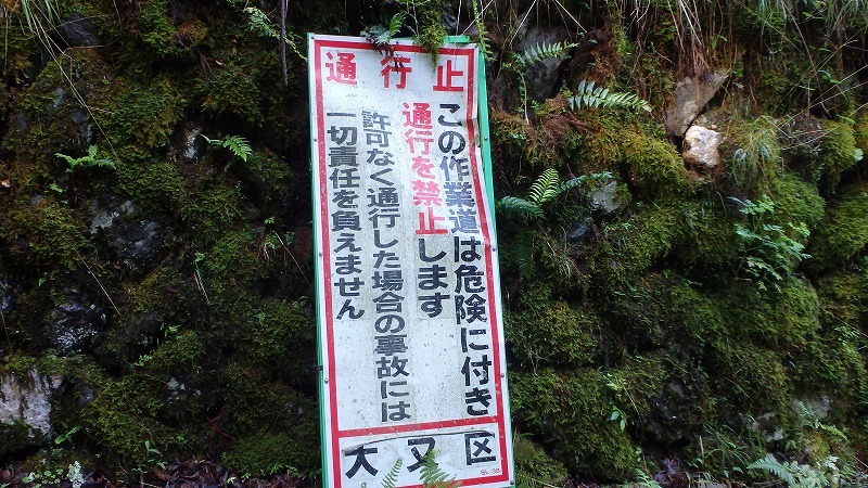 c0097754_16253137.jpg