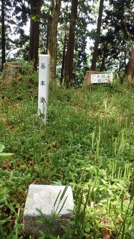 c0097754_16285668.jpg