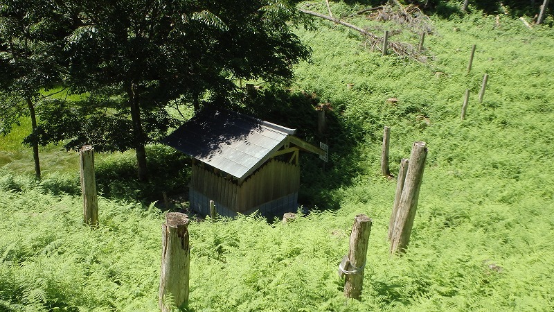 c0097754_16300979.jpg