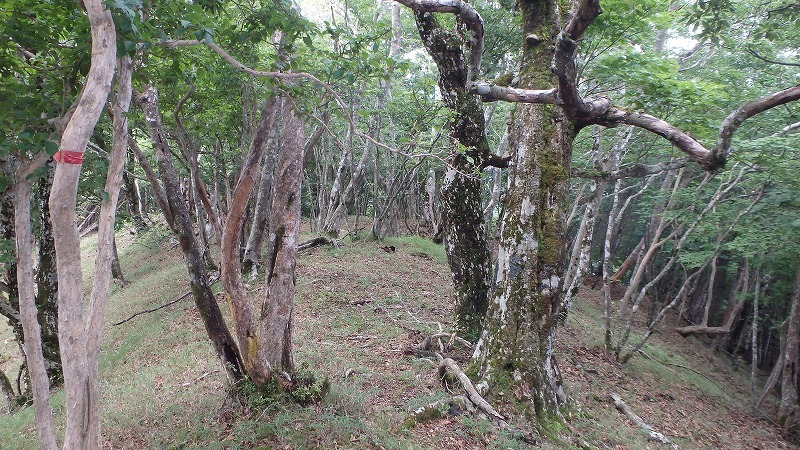 c0097754_16380129.jpg