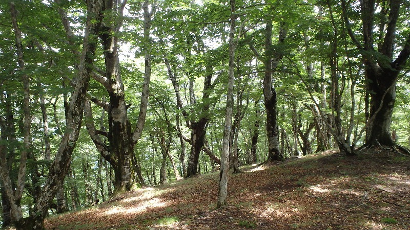 c0097754_16390673.jpg