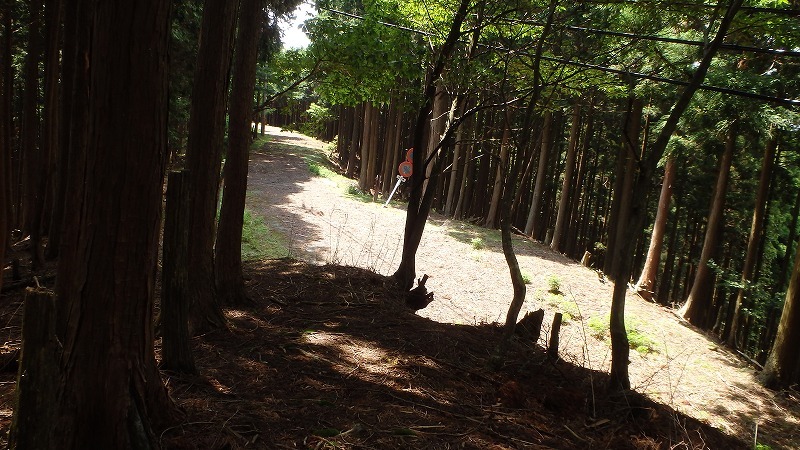 c0097754_16450459.jpg