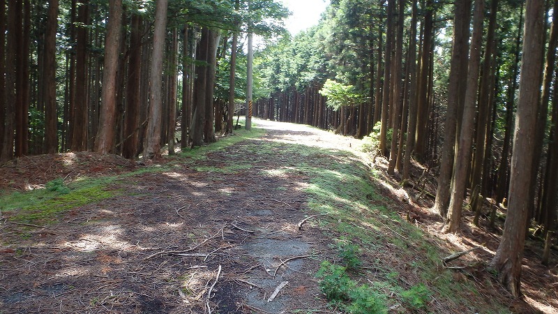 c0097754_16462764.jpg