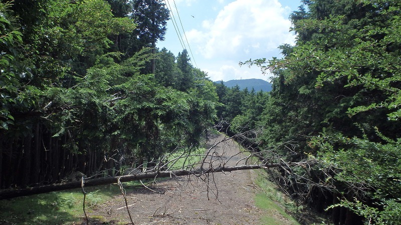 c0097754_16472598.jpg