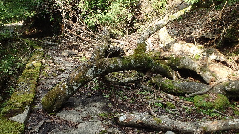 c0097754_16512758.jpg