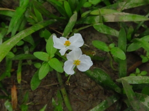 a0018655_15003420.jpg