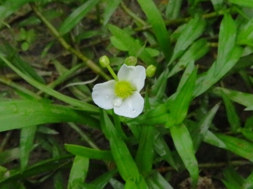 a0018655_15003840.jpg