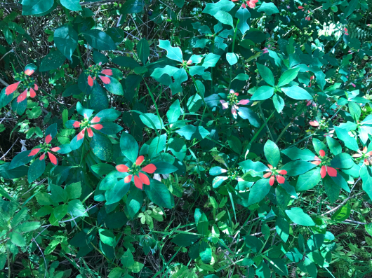 f0176860_17045369.jpg