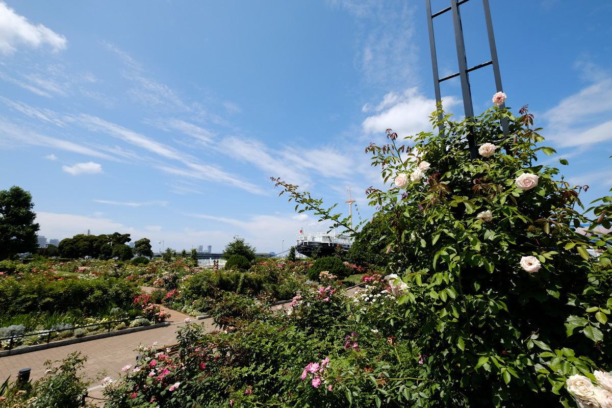 c0084666_14440975.jpg