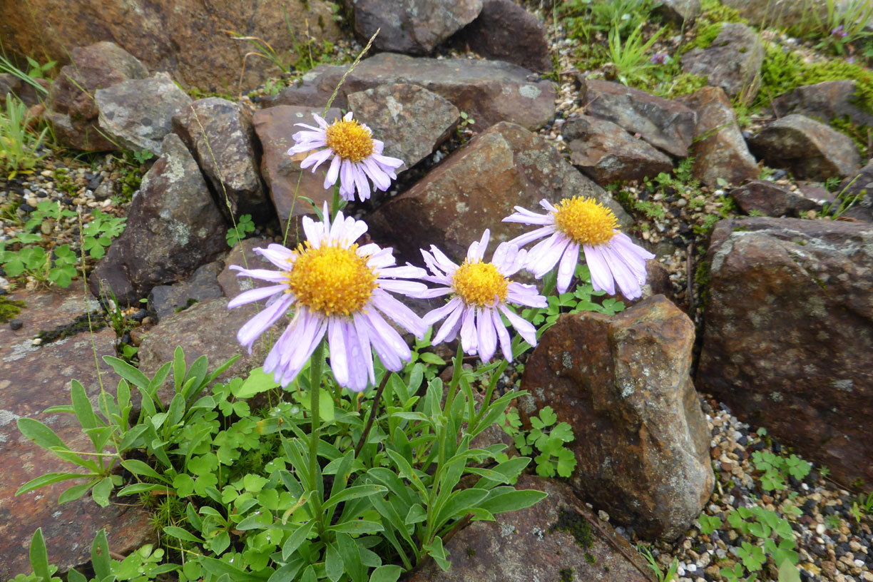 a0019668_13265920.jpg
