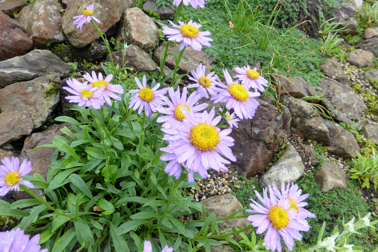 a0019668_13271123.jpg