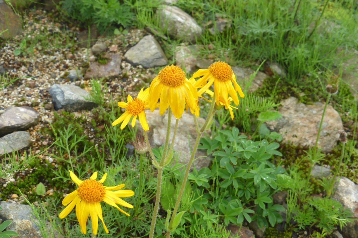 a0019668_13311484.jpg