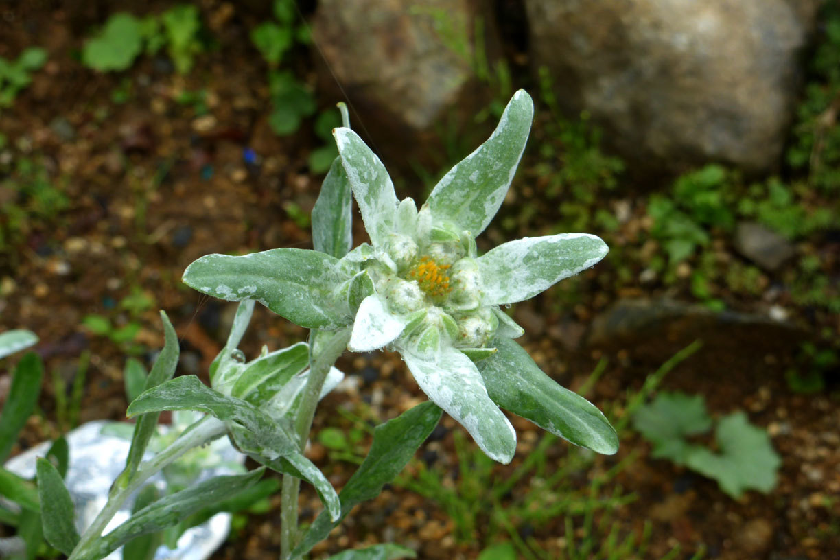 a0019668_13374370.jpg