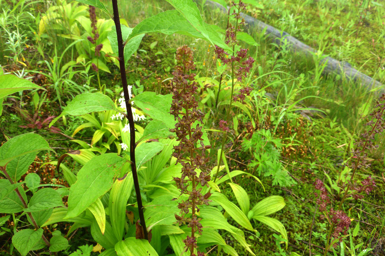 a0019668_13470590.jpg