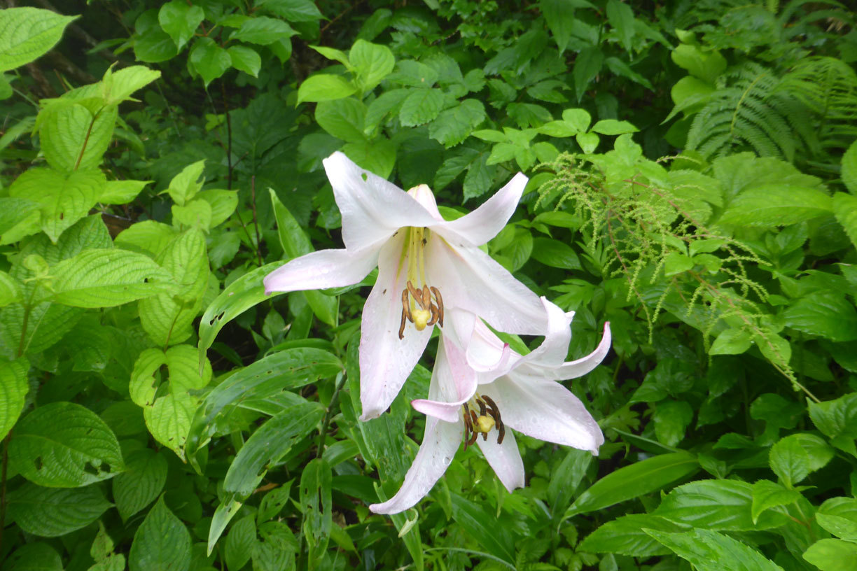 a0019668_13544010.jpg