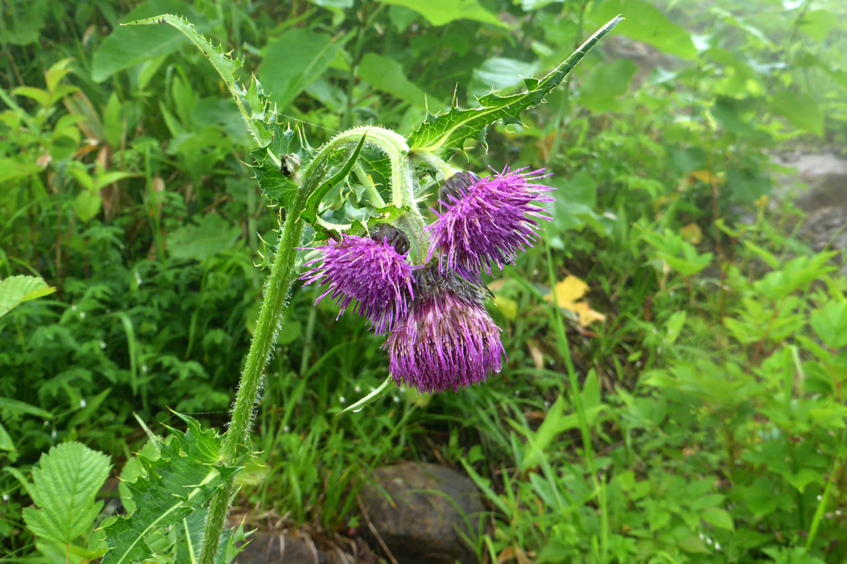 a0019668_13552258.jpg
