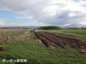 e0073268_2120497.jpg