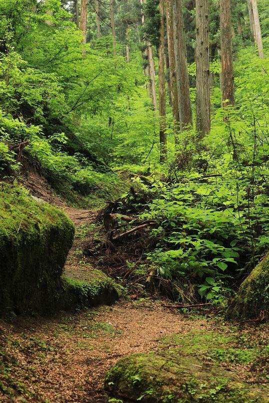 e0304170_12515595.jpg